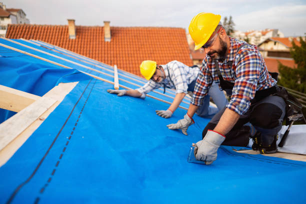 Best Roof Insulation Installation  in Union Grove, WI