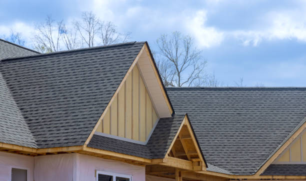 Best Asphalt Shingle Roofing  in Union Grove, WI